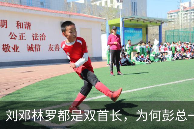 刘邓林罗都是双首长，为何彭总一直是司令兼政委？毛主席的用人算术